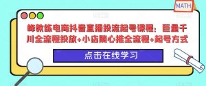 峰教练电商抖音直播投流起号课程:巨量千川全流程投放+小店随心推全流程+起号方式天风资源网,提供全网火热网站资源、培训资料、课程、创业教程天风资源网