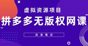 【白龙笔记】拼多多无版权网课项目,月入5000的长期项目,玩法详细拆解【揭秘】天风资源网,提供全网火热网站资源、培训资料、课程、创业教程天风资源网