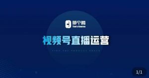 那个腾·视频号直播运营，​视频号直播推流逻辑/流量渠道解析/直播起号攻略/直播实操技巧天风资源网，提供全网火热网站资源、培训资料、课程、创业教程天风资源网