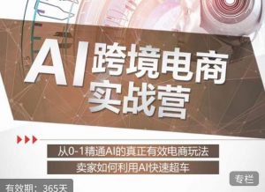 白龙老师·AI跨境电商实战营:从0-1精通Al的真正有效电商玩法,卖家如何利用Al快速超车天风资源网,提供全网火热网站资源、培训资料、课程、创业教程天风资源网