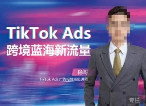 稳哥·如何投出高ROI的TikTok广告,开拓独立站卖家流量新蓝海天风资源网,提供全网火热网站资源、培训资料、课程、创业教程天风资源网