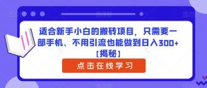 适合新手小白的搬砖项目，只需要一部手机、不用引流也能做到日入300+【揭秘】天风资源网，提供全网火热网站资源、培训资料、课程、创业教程天风资源网
