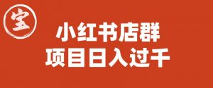 宝哥小红书店群项目,日入过千(图文教程)【揭秘】天风资源网,提供全网火热网站资源、培训资料、课程、创业教程天风资源网