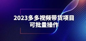 2023多多视频带货项目,可批量操作【保姆级教学】【揭秘】天风资源网,提供全网火热网站资源、培训资料、课程、创业教程天风资源网