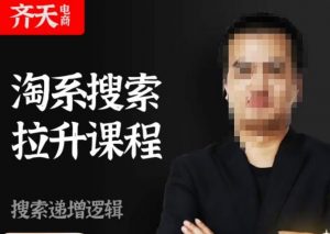 齐天电商·淘系搜索提升课程，​搜索递增标准化，动销标准化流程天风资源网，提供全网火热网站资源、培训资料、课程、创业教程天风资源网