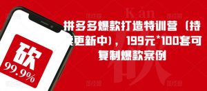 拼多多爆款打造特训营(持续更新中),199元*100套可复制爆款案例天风资源网,提供全网火热网站资源、培训资料、课程、创业教程天风资源网