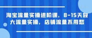 淘宝流量实操进阶课，8-15天放大流量实操，店铺流量不用愁天风资源网，提供全网火热网站资源、培训资料、课程、创业教程天风资源网