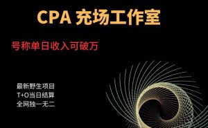 cpa充场工作室，号称单日收入10000+（揭秘）天风资源网，提供全网火热网站资源、培训资料、课程、创业教程天风资源网