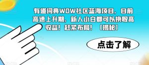 有道词典WOW社区蓝海项目,目前高速上升期,新人小白都可以换取高收益!赶紧布局!【揭秘】天风资源网,提供全网火热网站资源、培训资料、课程、创业教程天风资源网