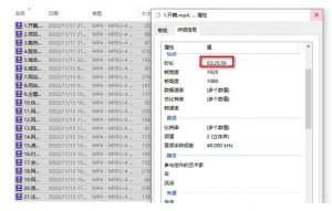 虚拟资源全自动成交系统,从0到1保姆级详细教程天风资源网,提供全网火热网站资源、培训资料、课程、创业教程天风资源网