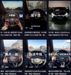 抖音开车视频项目,0基础操作,每天五分钟,月入1W+【揭秘】天风资源网,提供全网火热网站资源、培训资料、课程、创业教程天风资源网