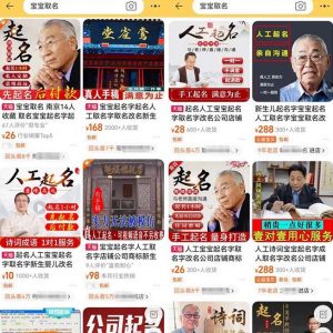 拆解小红书宝宝起名虚拟副业项目,一条龙实操玩法分享给你(教程+软件)天风资源网,提供全网火热网站资源、培训资料、课程、创业教程天风资源网