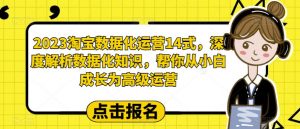 2023淘宝数据化运营14式,深度解析数据化知识,帮你从小白成长为高级运营天风资源网,提供全网火热网站资源、培训资料、课程、创业教程天风资源网