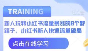 新人玩转小红书流量暴涨的8个野路子，小红书新人快速流量破局天风资源网，提供全网火热网站资源、培训资料、课程、创业教程天风资源网