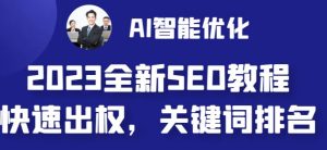 2023最新网站AI智能优化SEO教程，简单快速出权重，AI自动写文章+AI绘画配图天风资源网，提供全网火热网站资源、培训资料、课程、创业教程天风资源网