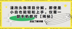 漫改头像项目分解，即使是小白也能轻松上手，仅需一部手机即可【揭秘】天风资源网，提供全网火热网站资源、培训资料、课程、创业教程天风资源网