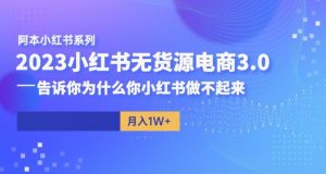 阿本小红书无货源电商3.0,告诉你为什么你小红书做不起来天风资源网,提供全网火热网站资源、培训资料、课程、创业教程天风资源网