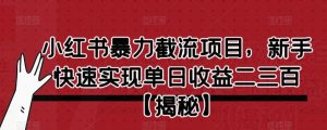 小红书暴力截流项目,新手快速实现单日收益二三百【仅揭秘】天风资源网,提供全网火热网站资源、培训资料、课程、创业教程天风资源网