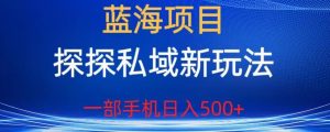 蓝海项目,探探私域新玩法,一部手机日入500+很轻松【揭秘】天风资源网,提供全网火热网站资源、培训资料、课程、创业教程天风资源网