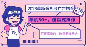 2023最新玩法短视频广告撸金，亲测单机收益80+，可矩阵，傻瓜式操作，小白可上手【揭秘】天风资源网，提供全网火热网站资源、培训资料、课程、创业教程天风资源网