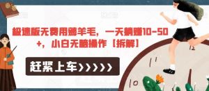 极速版无费用薅羊毛，一天躺赚10-50+，小白无脑操作【拆解】天风资源网，提供全网火热网站资源、培训资料、课程、创业教程天风资源网