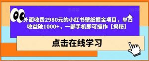 外面收费2980元的小红书壁纸掘金项目,单日收益破1000+,一部手机即可操作【揭秘】天风资源网,提供全网火热网站资源、培训资料、课程、创业教程天风资源网