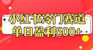 小红书冷门赛道,单日盈利500+【揭秘】天风资源网,提供全网火热网站资源、培训资料、课程、创业教程天风资源网