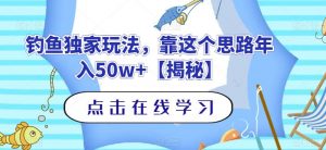 钓鱼独家玩法，靠这个思路年入50w+【揭秘】天风资源网，提供全网火热网站资源、培训资料、课程、创业教程天风资源网