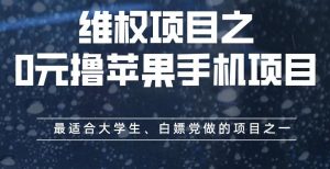 维权项目之0元撸苹果手机项目，最适合大学生、白嫖党做的项目之一【揭秘】天风资源网，提供全网火热网站资源、培训资料、课程、创业教程天风资源网