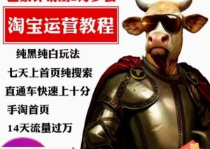 猫老师·淘系算法逆向解密,纯黑纯白玩法,七天上首页纯搜索,手淘首页14天流量过万天风资源网,提供全网火热网站资源、培训资料、课程、创业教程天风资源网