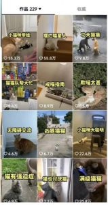 拆解：抖音盘点类中视频变现副业项目，视频版一条龙大解析分享给你天风资源网，提供全网火热网站资源、培训资料、课程、创业教程天风资源网