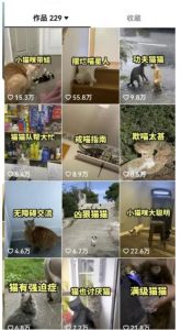 拆解抖音盘点类中视频变现副业项目,视频版一条龙大解析分享给你【视频课程】天风资源网,提供全网火热网站资源、培训资料、课程、创业教程天风资源网