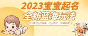 2023宝宝起名全新蓝海玩法,冷门暴力小白实操,日入1000+(全套教程)【揭秘】天风资源网,提供全网火热网站资源、培训资料、课程、创业教程天风资源网