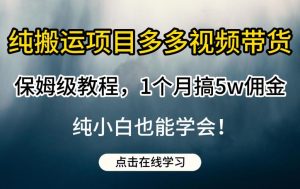 纯搬运项目多多视频带货保姆级教程，1个月搞5w佣金，纯小白也能学会【揭秘】天风资源网，提供全网火热网站资源、培训资料、课程、创业教程天风资源网
