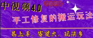 中视频4.0赛道：新手福音，入门简单，上手快【揭秘】天风资源网，提供全网火热网站资源、培训资料、课程、创业教程天风资源网