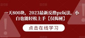 一天800块，2023最新反撸pz玩法，小白也能轻松上手【仅揭秘】天风资源网，提供全网火热网站资源、培训资料、课程、创业教程天风资源网