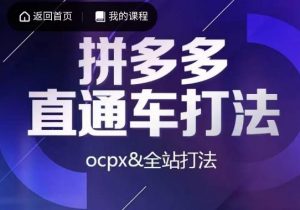 互力·拼多多直通车打法，ocpx&全站打法天风资源网，提供全网火热网站资源、培训资料、课程、创业教程天风资源网