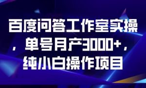 百度问答工作室实操,单号月产3000+,纯小白操作项目【揭秘】天风资源网,提供全网火热网站资源、培训资料、课程、创业教程天风资源网