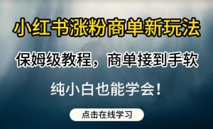 小红书涨粉商单新玩法,保姆级教程,商单接到手软,纯小白也能学会【揭秘】天风资源网,提供全网火热网站资源、培训资料、课程、创业教程天风资源网
