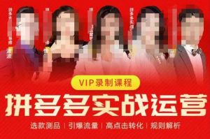 2023推易拼多多实战运营，选款测品、引爆流量、高点击转化、规则解析天风资源网，提供全网火热网站资源、培训资料、课程、创业教程天风资源网