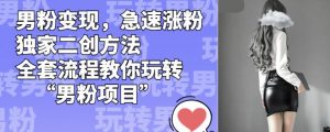 男粉变现,急速涨粉独家二创方法,全套流程教你玩转“男粉项目”【揭秘】天风资源网,提供全网火热网站资源、培训资料、课程、创业教程天风资源网