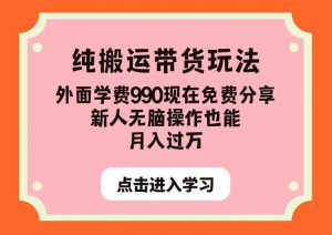纯搬运带货玩法,外面学费990现在免费分享,新人无脑操作也能月入过万【揭秘】天风资源网,提供全网火热网站资源、培训资料、课程、创业教程天风资源网