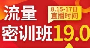 秋秋线上流量密训班19.0,打通流量关卡,线上也能实战流量破局天风资源网,提供全网火热网站资源、培训资料、课程、创业教程天风资源网