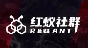 社群运营:红蚁社群【48节落地系统课程+2000人高端社群】天风资源网,提供全网火热网站资源、培训资料、课程、创业教程天风资源网