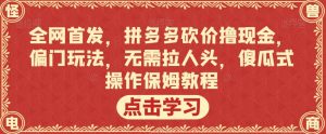 全网首发,拼多多砍价撸现金,偏门玩法,无需拉人头,傻瓜式操作保姆教程【揭秘】天风资源网,提供全网火热网站资源、培训资料、课程、创业教程天风资源网