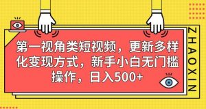 第一视角类短视频，更新多样化变现方式，新手小白无门槛操作，日入500+【揭秘】天风资源网，提供全网火热网站资源、培训资料、课程、创业教程天风资源网