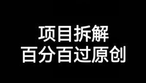 项目拆解赛道百分百过原创【揭秘】天风资源网，提供全网火热网站资源、培训资料、课程、创业教程天风资源网
