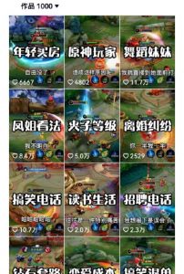 副业拆解：抖音王者荣耀游戏变现副业项目，视频版一条龙实操玩法分享给你天风资源网，提供全网火热网站资源、培训资料、课程、创业教程天风资源网