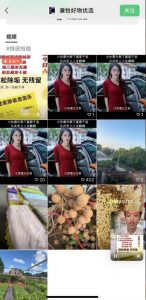 外面收费198的最新视频号连怼技术，条条原创，条条爆单【揭秘】天风资源网，提供全网火热网站资源、培训资料、课程、创业教程天风资源网