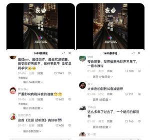 副业拆解:抖音杰伦音乐号涨粉变现项目,视频版一条龙实操玩法分享给你天风资源网,提供全网火热网站资源、培训资料、课程、创业教程天风资源网